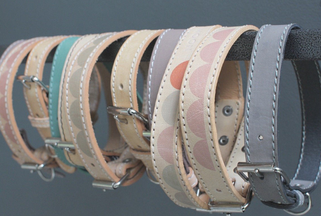 dog collar